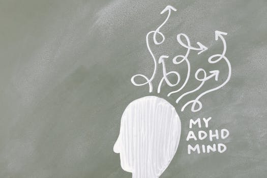 Navigating the Crossroads: Strategic Imperatives for White County, TN Education