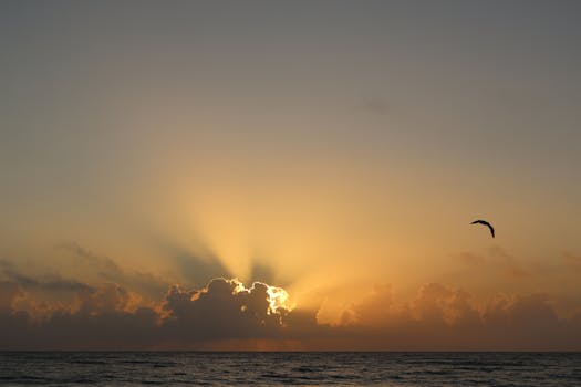 Beyond the Mansions: Embracing the True Palm Beach Lifestyle